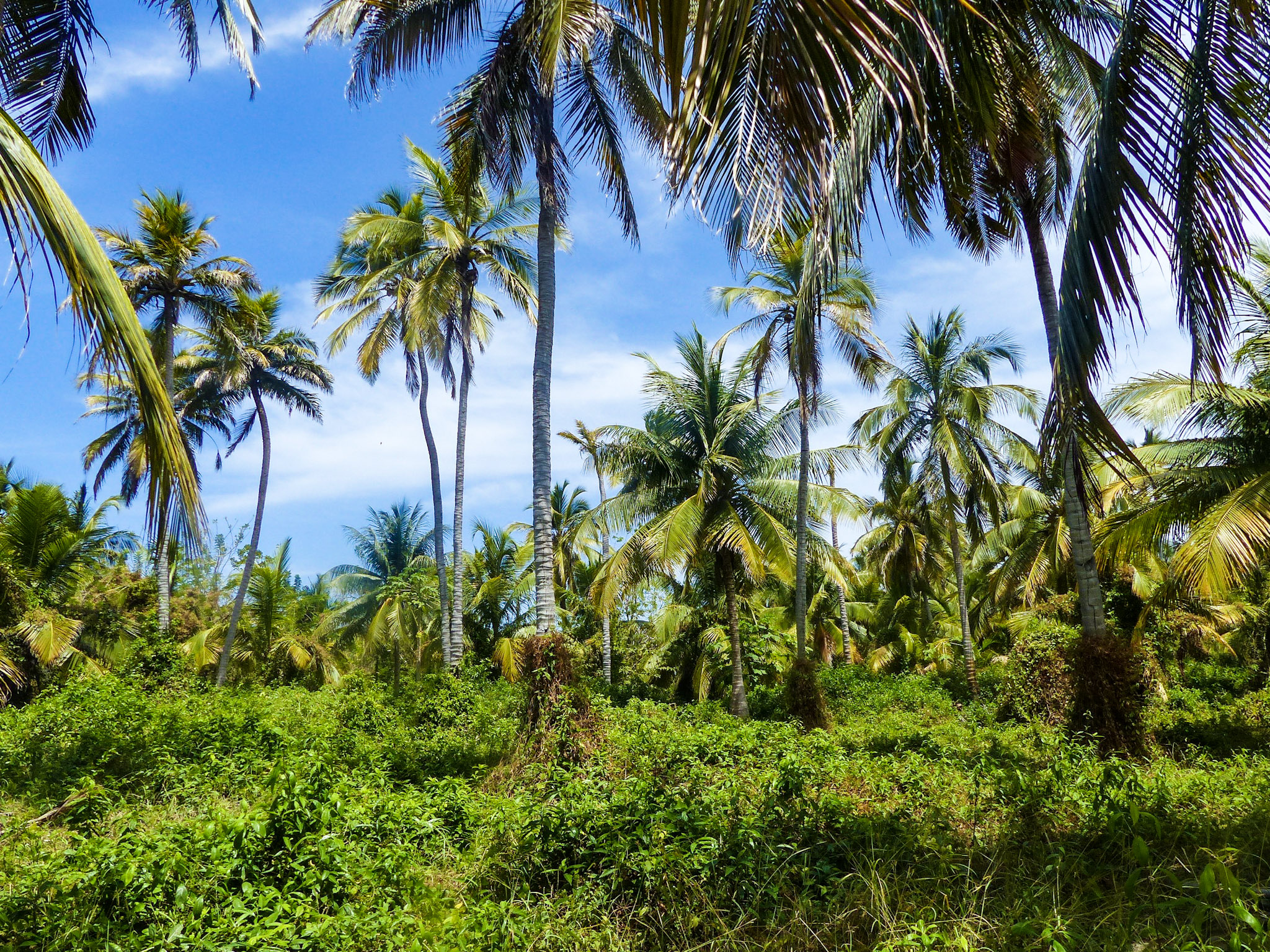 blog voyage colombie san bernardo île mucura